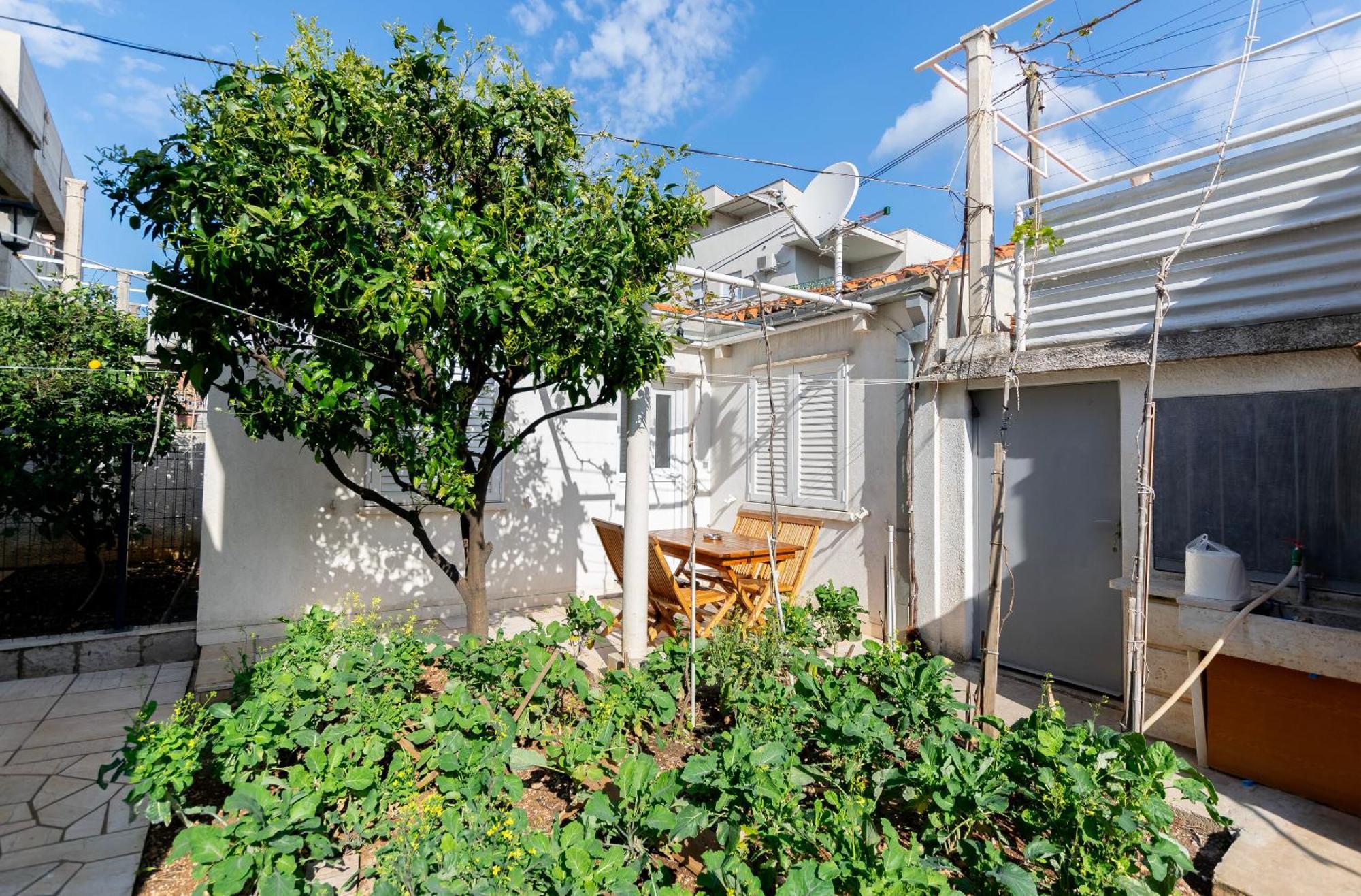 Apartments Pero - Free Parking Dubrovnik Exterior photo